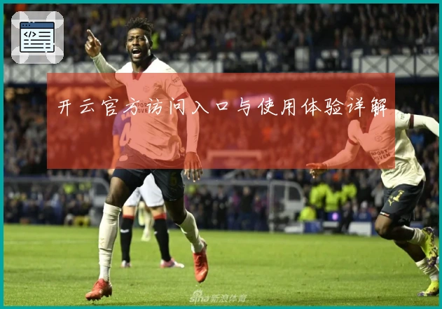 开云官方访问入口与使用体验详解